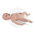 Infant Catheterization & Enema Model