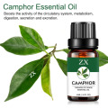 100% safi ya asili ya camphor muhimu kwa diffuser