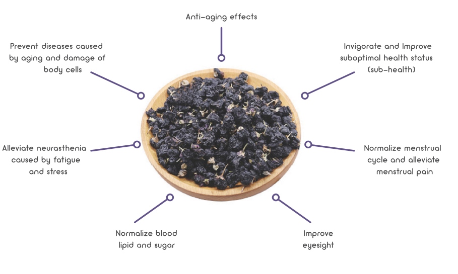 Black Goji Berry Powder Benefits Black Goji Berry Powder Benefits