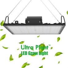 Đèn Led Grow 600W trong nhà có thể điều chỉnh độ sáng