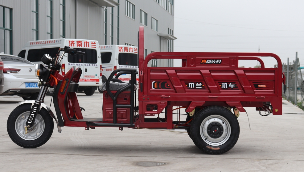 Cargo Electric Tricycle