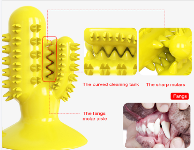 Voice Cactus Dog Toothbrush Details 4