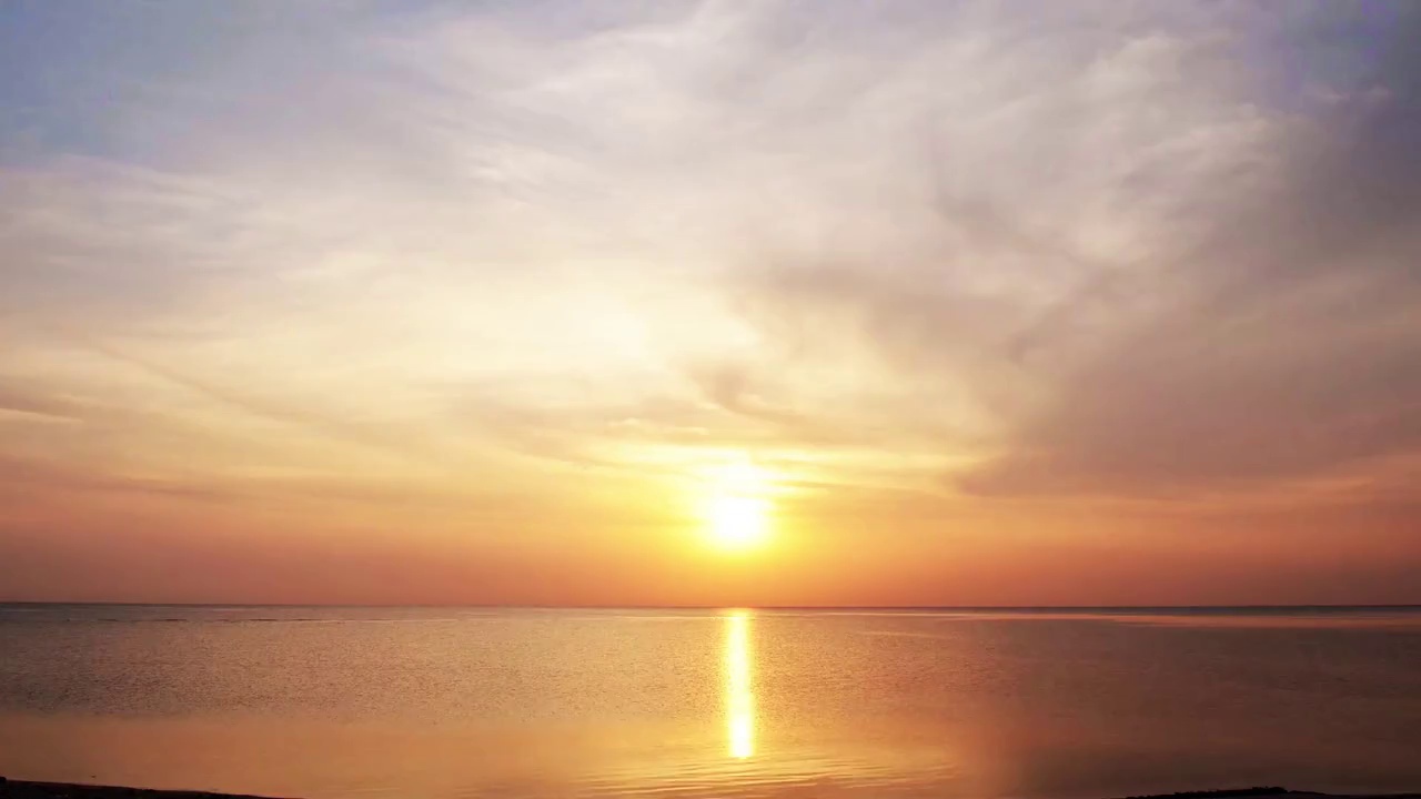 Gannan Orange enzyme solution