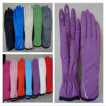 High Quality Warm Fashion Ski Gloves (JSG-15011)