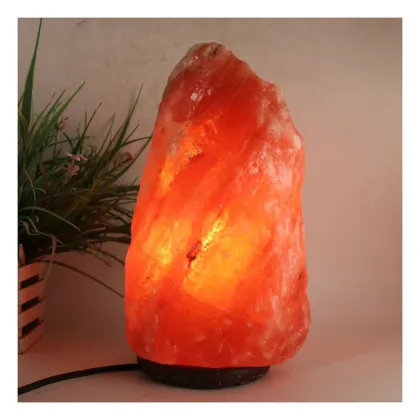 Himalayan Salt Lamps: Unique Shapes and Designs