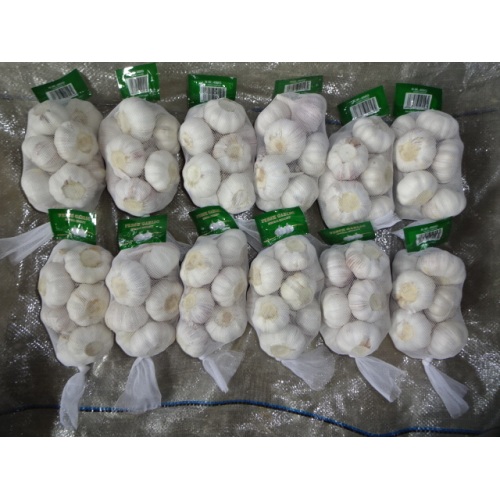 Hot Sale Normal Knoblauch 2020