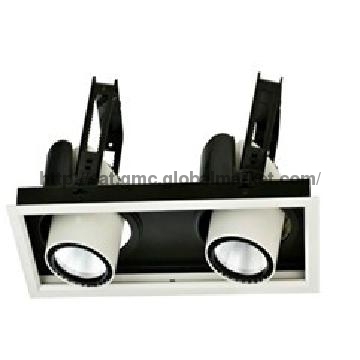 LED Down Lights ,Energy saving,Long Lifespan,Two Strechable Heads
