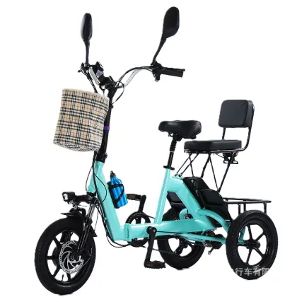 2025 New 14-inch Folding Electric Power Tricycle 48V Lithium Manned Electric Tricycle
