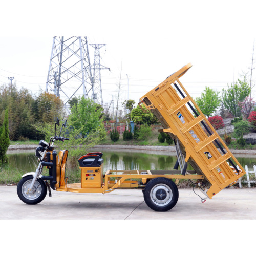 Tricycles électriques de cargaison de marchandises de transport automatique