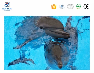 Couple of dolphin sealife design 3d tiles,lovely dolphin bedroom 3d tiles,morden style 3d floor tiles