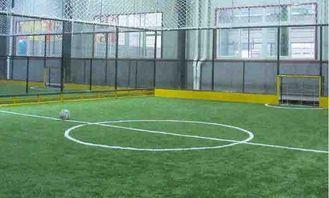 16000Dtex 25mm PE + PP Fake Artificial Grass For Futsal Fie
