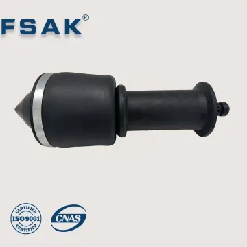 Direct Factory Sale Air Suspension Parts - Shock Absorber 5010491301