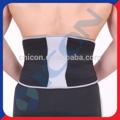 Mesh Back Rest Support Back support