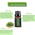 Natural Litsea Cubeba Essential Oil Organic for SkinCare