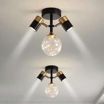 Creative Multi-Head LED Ceiling Lamp for Living Room and Bedroom