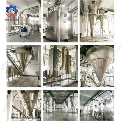 Mint Extract Spray Dryer