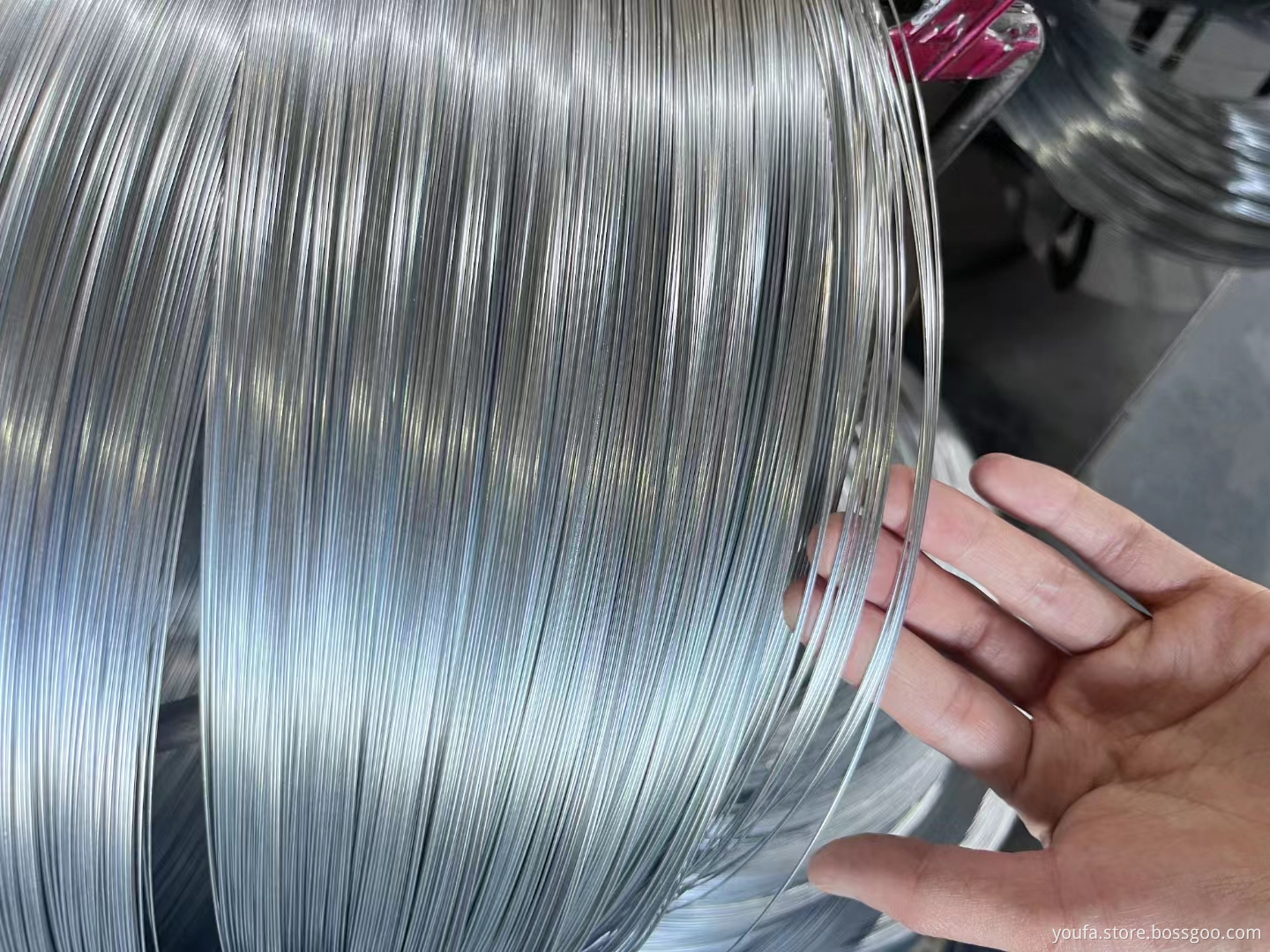 Galvanized Iron Wire