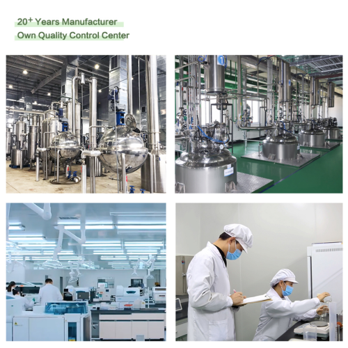 Екстракт гљиве и екстракта гљиве