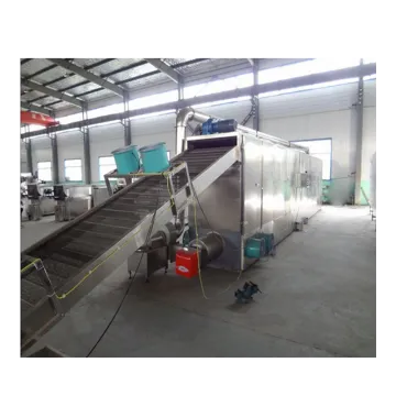 Multi-Layer Belt Mesh Dryer: Efficient Moringa Leaf Continuous Drying Machine for Prune Production