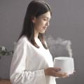 Xiaomi Hl Aromaterapi Diffuser Pro Air Humidifier