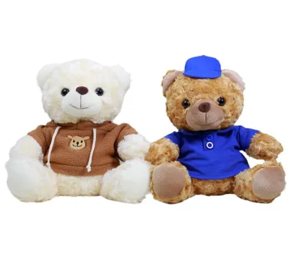 Customizable Unisex Cotton Teddy Bear Rag Doll Plush Hoodie for Anniversaries