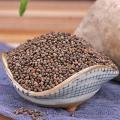 Perilla Seed In Chinese