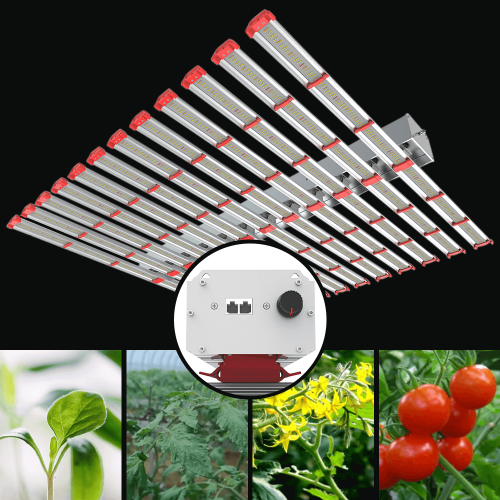 Hps Replacement 1500W Led Grow Lights 8x8 Tent