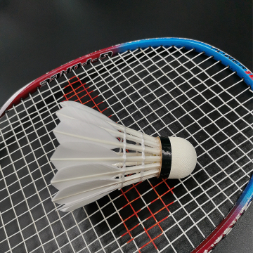 Amateur Training Level Goose Sword Feather Badminton