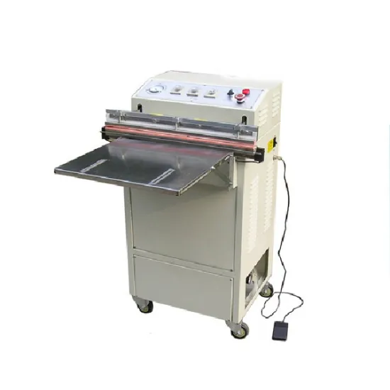 VS-600 Vacuum Packaging Machine