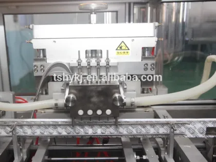 HY-U PE/PVC Suppository Packing Machine