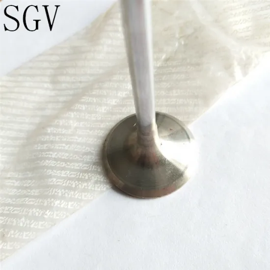 Engine Valve Compatibility for TD42, TD25, TD27, Z20, Z24, VQ35, VQ30 VG33, YD25