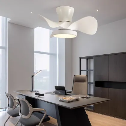 Customizable Modern Simple Children's Room and Restaurant Ceiling Fan Light