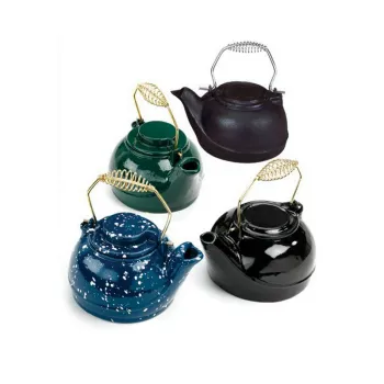 Enamelled Cast Iron Tea Kettle