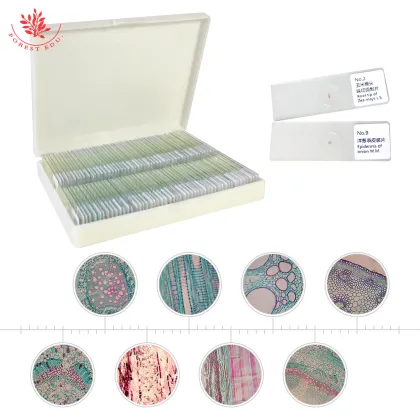 Botany Histology Laboratory Slides: FRT2004 Teaching Aids - 100 Kinds of Plant Microscope Slides