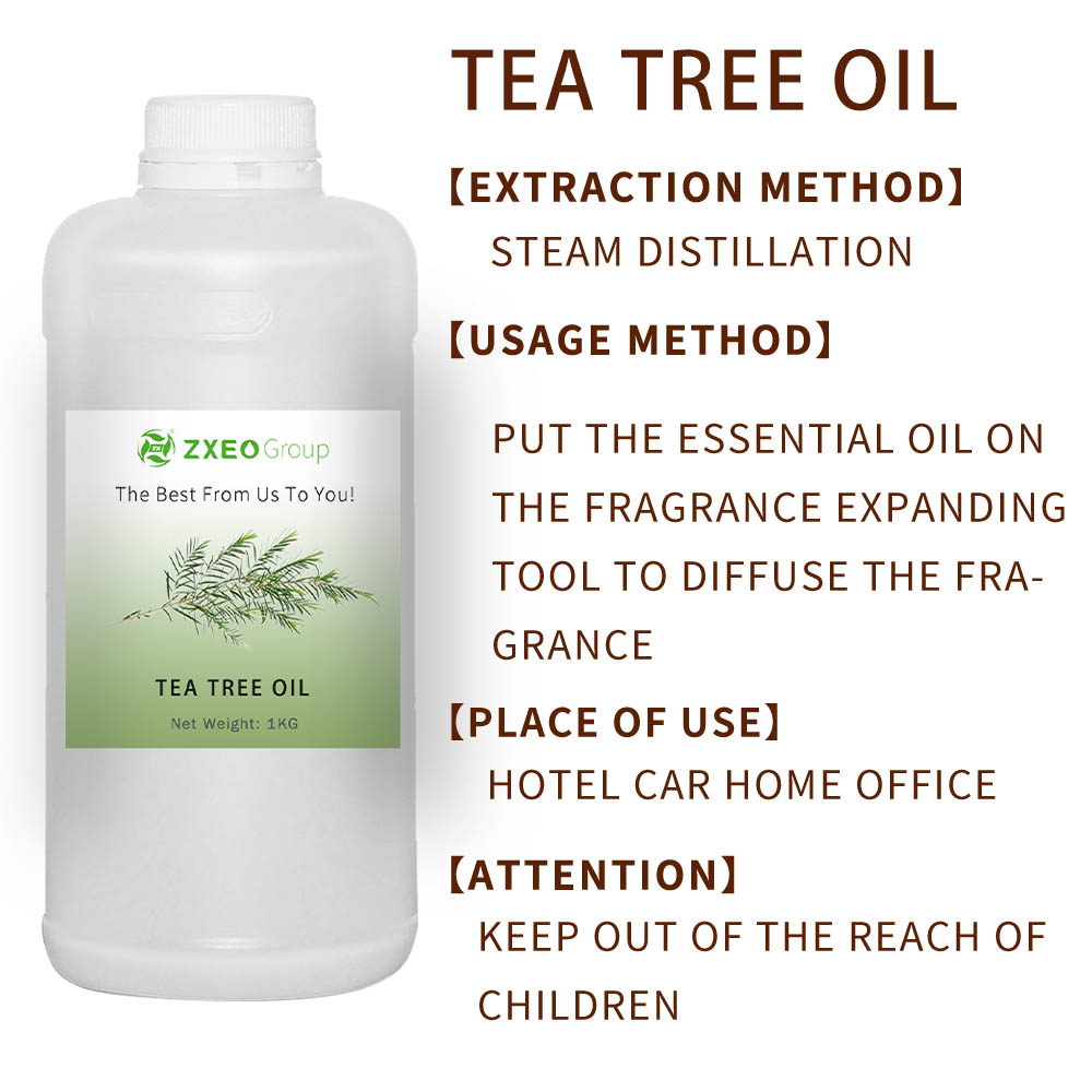 100% Organic Pure Nature STEAM Distillation arbre à thé Huile essentielle pour la peau et les ongles aromathérapie