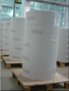 Jumbo Thermal Label Roll 1000m-3000m