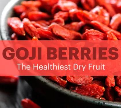 Dark Red Goji Berry/high standard oval goji berry