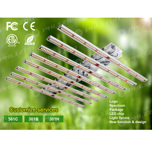 400/480 / 640 / 800W Vollspektrum LED wachsen Beleuchtung zum Verkauf
