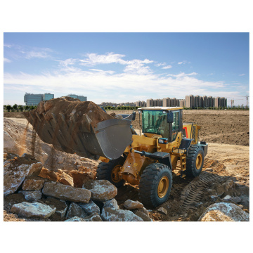 High Quality Original Brand Wheel Loader FL956h