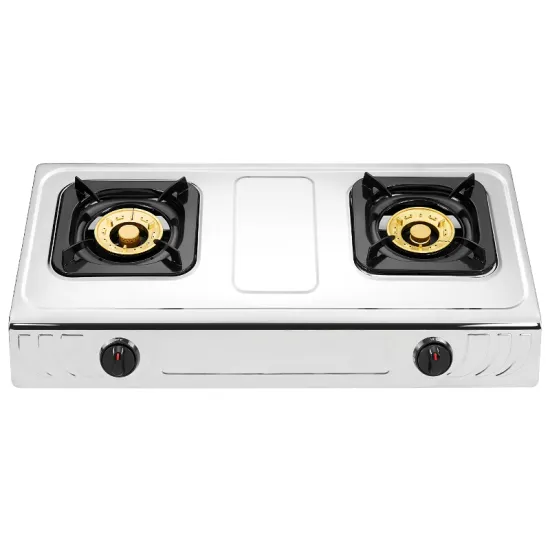 Stainless steel gas burner with 2 burner