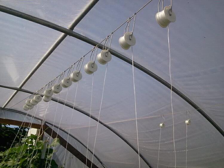 Tunnel Plastic Film Greenhouse the cultivation of vegetables