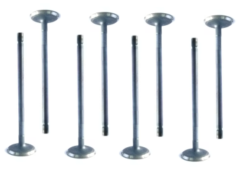 Caterpillar C15 Intake Valve