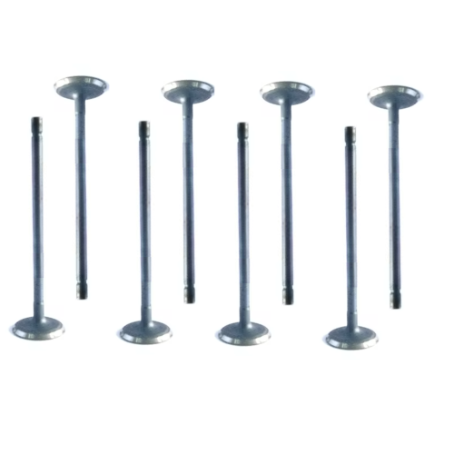 9002817 escape de la válvula