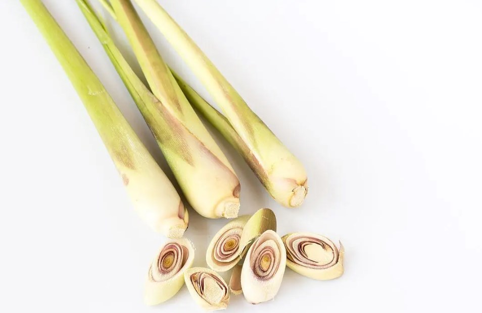 lemongrass extract (1)