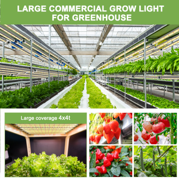 Phlizon Led Grow Light 2ft