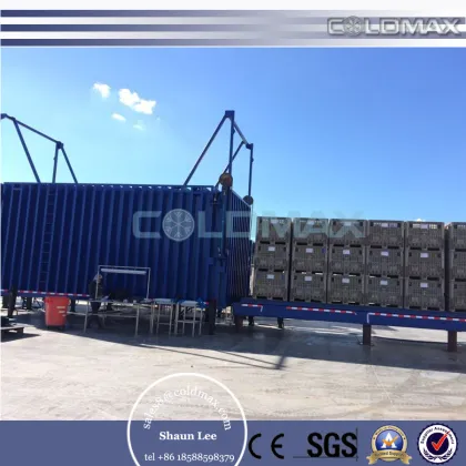 CE certification fresh cut flowers vegetables vacuum cooler