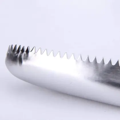 Stainless Steel Fish Scale Remover Kitchen Tool
