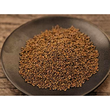 Nutural Plant Extract Astragalus Root Extract
