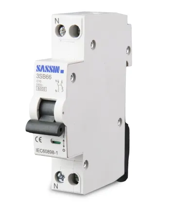 SASSIN MCB Miniature Circuit Breaker 100A 1P+N High Quality