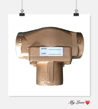 HTTV1-1/2' thermostatic valve assembly
